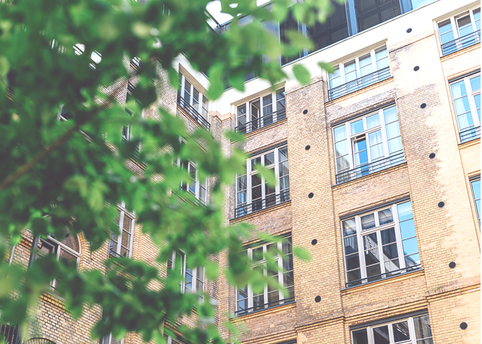 7 First Apartment Essentials You Didn’t Know You Needed